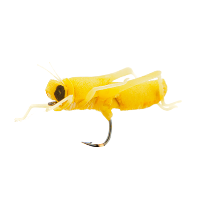 Sauterelle Jaune