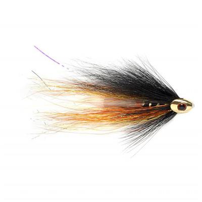 Willie Gunn Skullhead Gold