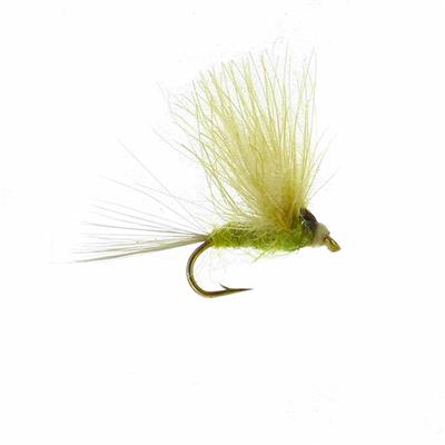 Wings CDC Olive Beige
