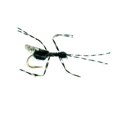 Black Flying Ant