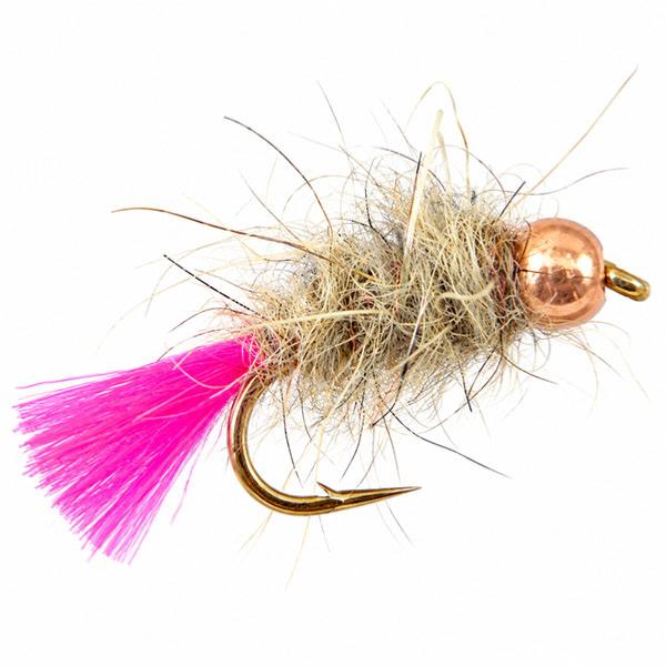 Goddard Rose Tungsten
