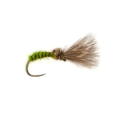 Procter's Caddis Emerger Barbless Green