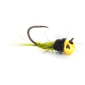 Jig Olive