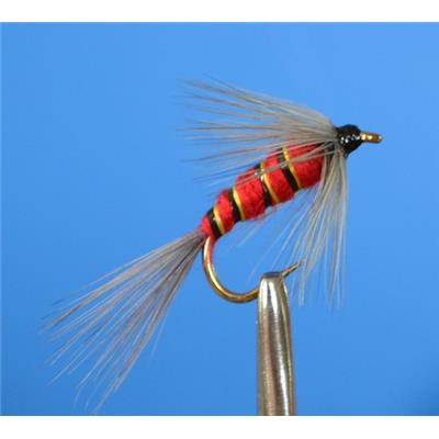 12 Mouches De Pêche à La Truite Conehead Bullet - Rouge, Blanc, Jaune - Taille 10 - Livraison Rapide UK