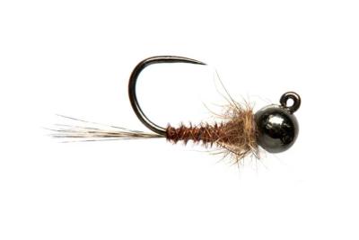 Bassett's Backcountry PT