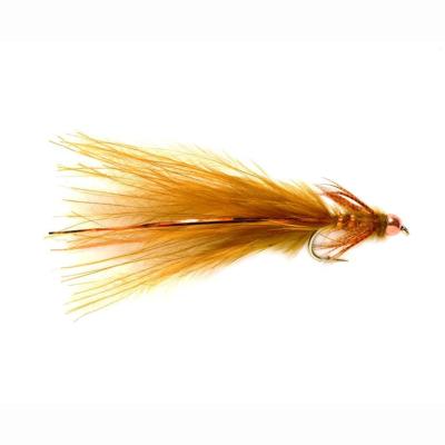  Kingfisher Copper Damsel