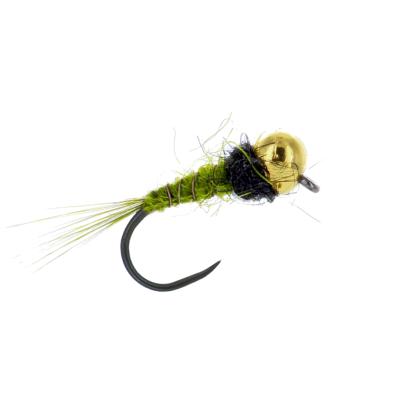 Jig Olive