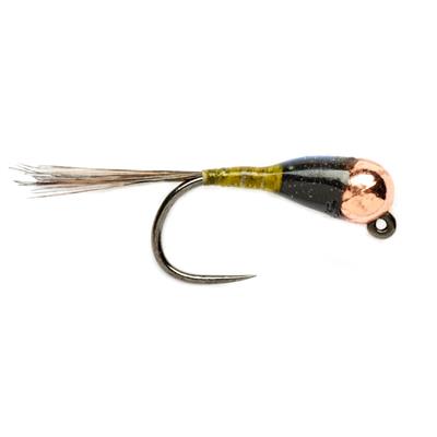 Spanish Bullet Olive Barbless