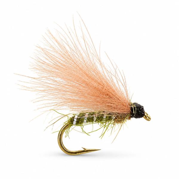CDC Olive Beige