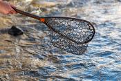 Nomad Canyon Net - 2.0