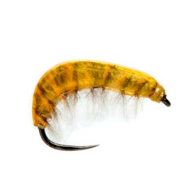 Juglaret's French Gammarus Yellow
