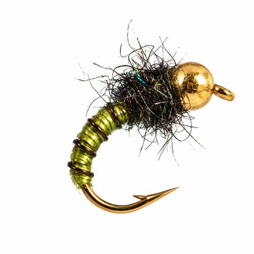 L'olive Casquée Tungstène