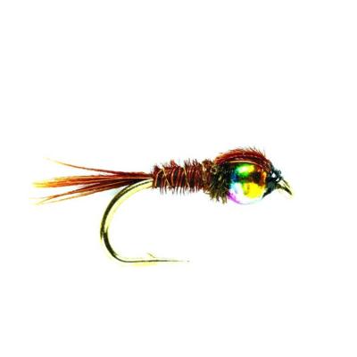 Pheasant Tail Rainbow Hot Head