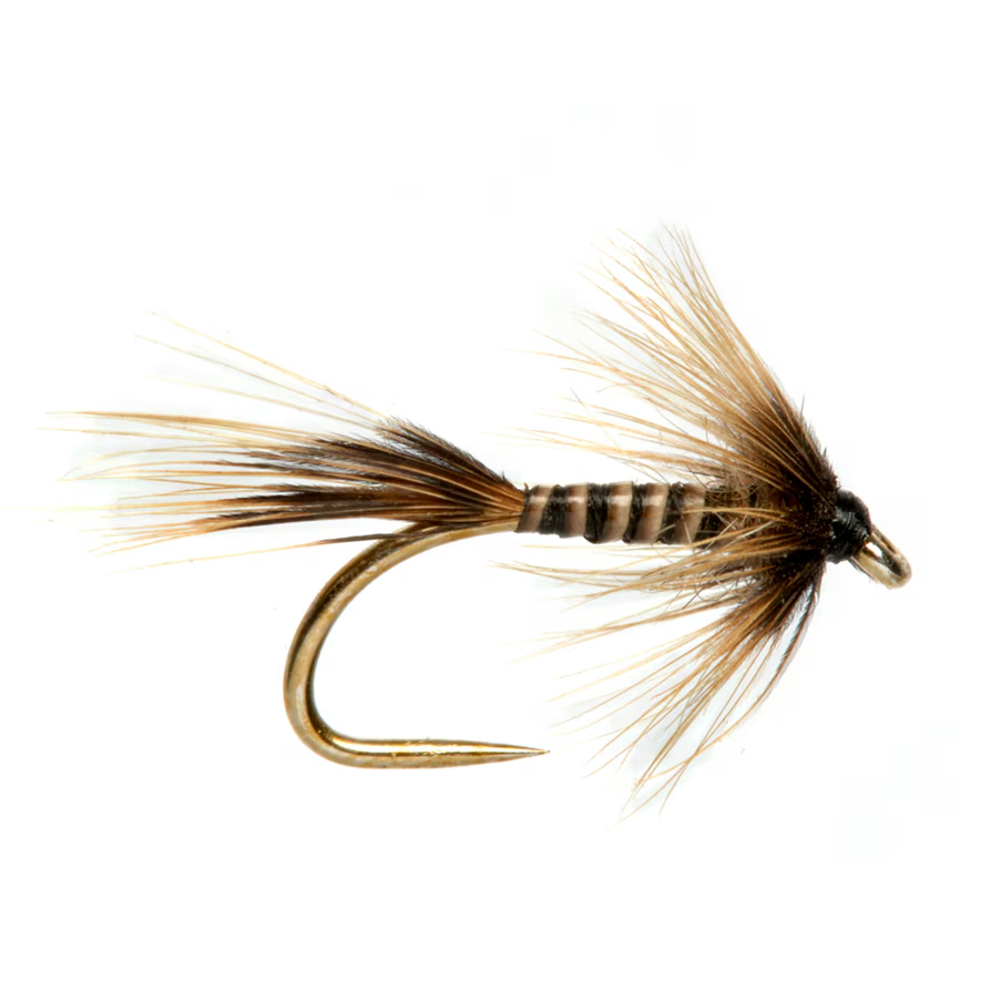 Rob's Quill Cruncher Natural