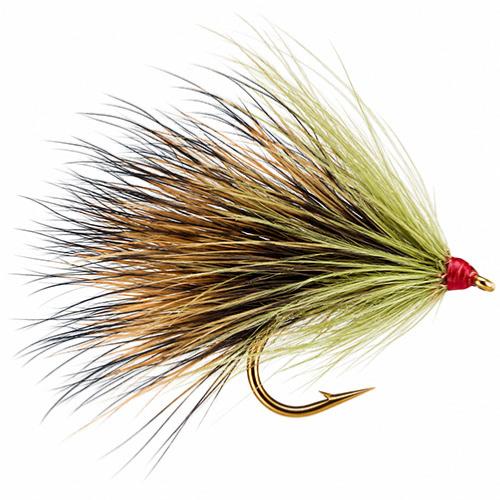 SedgeHog Olive