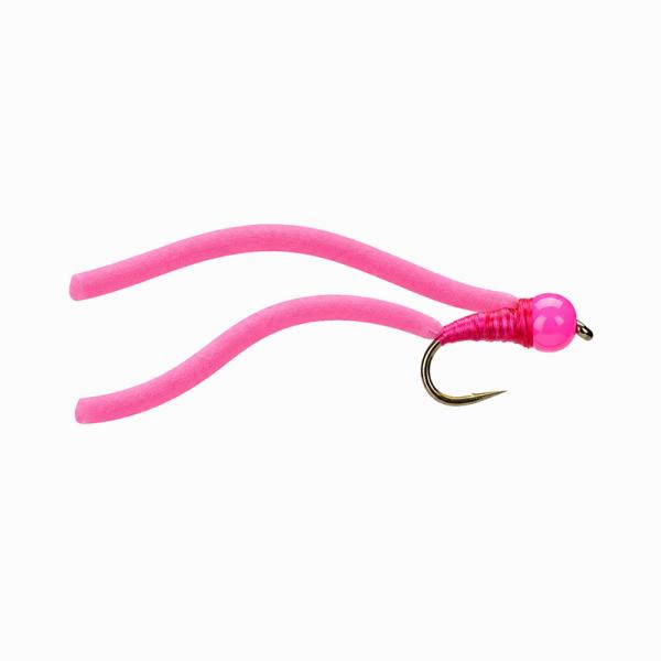 Squimmy Worm Rose