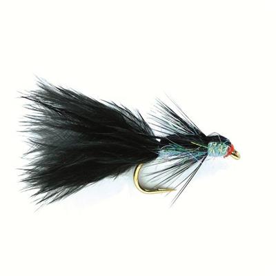 Glister Black Pearl Damsel