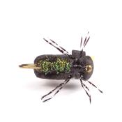 High-Viz Peacock Beetle