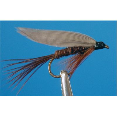 Pheasant Tail Std