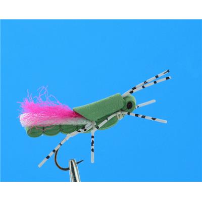 Sauterelle Verte