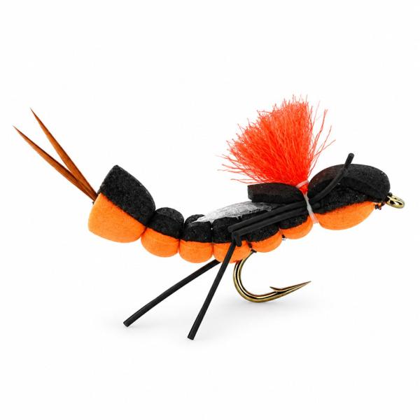 Foam Cricket Orange Black