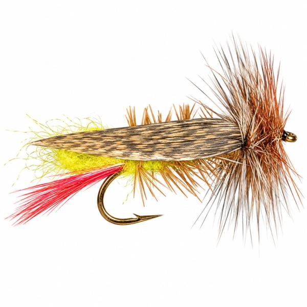 Joe's Hopper