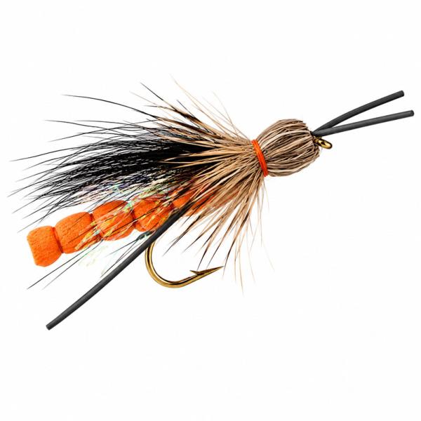 Sauterelle Corps Orange