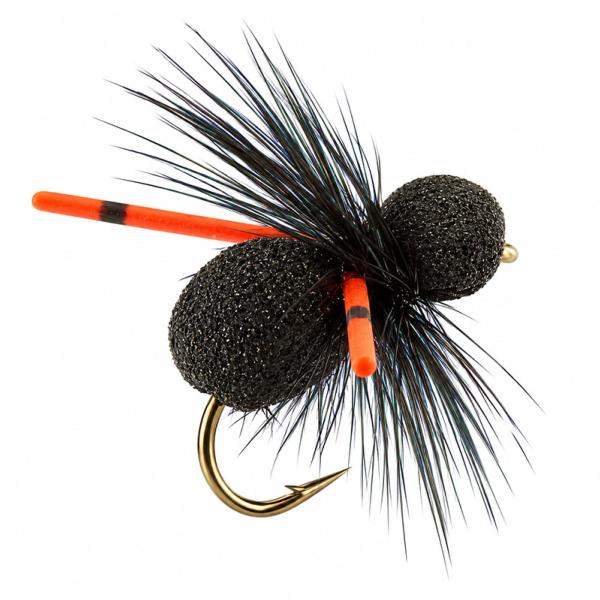 Scarabée Noir Pattes Rouges