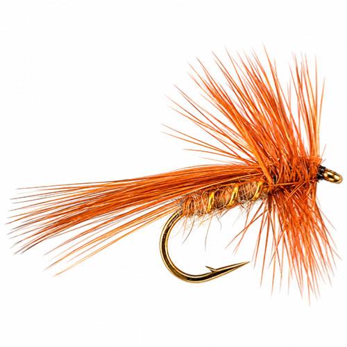 Sedge Hackle 2