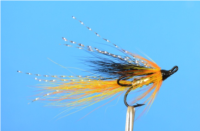 Ally Shrimp Cascade Tri