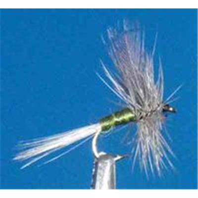 La BWO (blue wing olive)