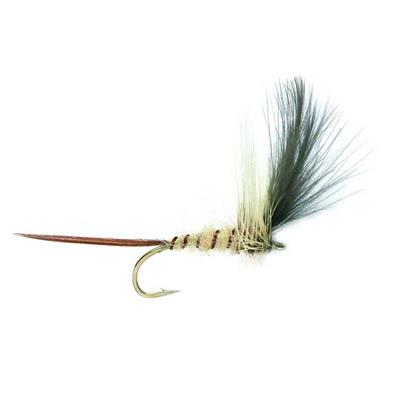 Mayfly CDC