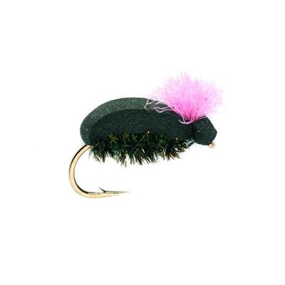 Target Beetle Pink