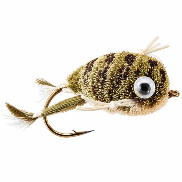 Grenouille Nageuse