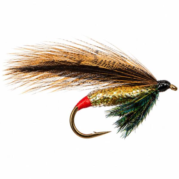 Le Silver Darter