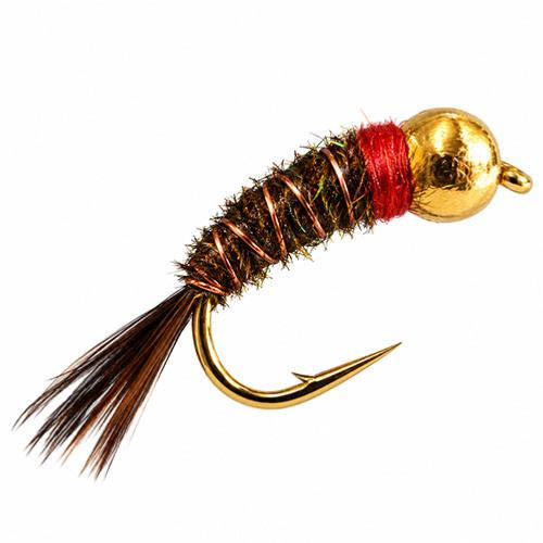 Red Neck Caddis Tungsten