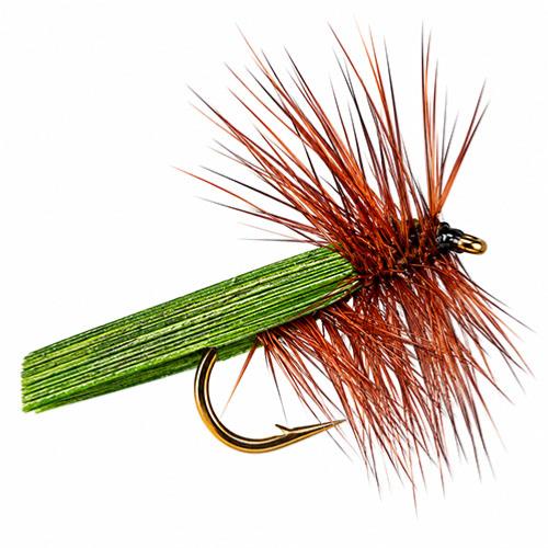 Sedge Roux Olive