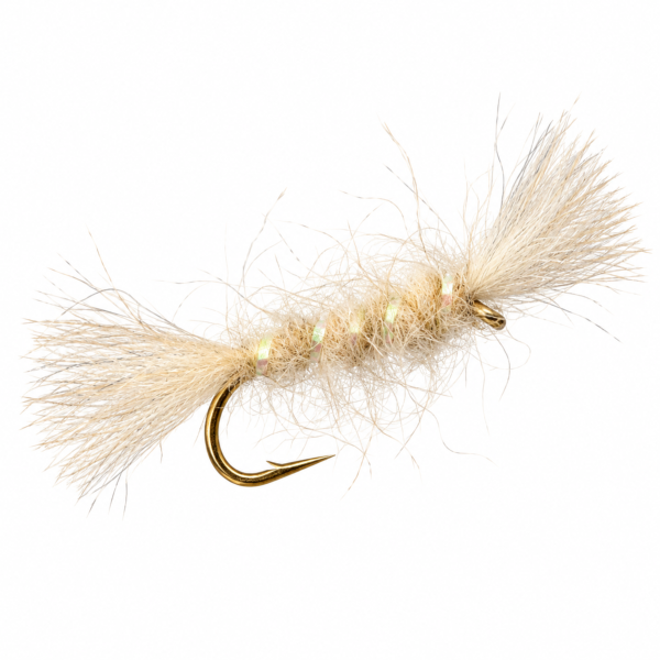 Shipman's Buzzer Blanc