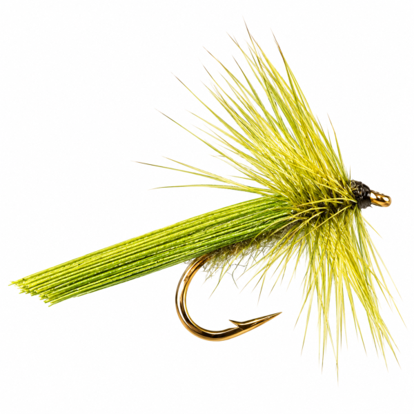 Sedge Vert Olive