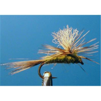 Special Olive Parachute