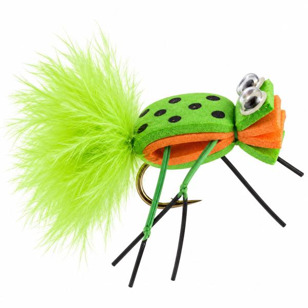 Attractor Frog
