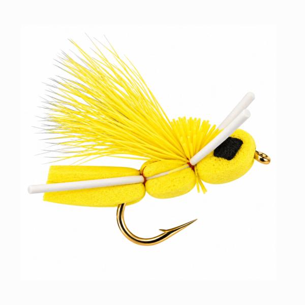 Baby Boy Yellow
