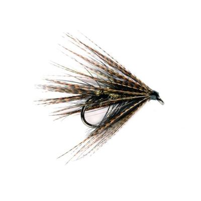 Dabbler Black & Gold