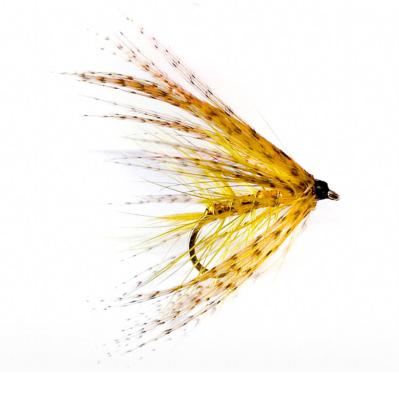 Dabbler Yellow