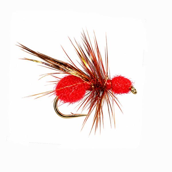Fourmi Ailée Rouge