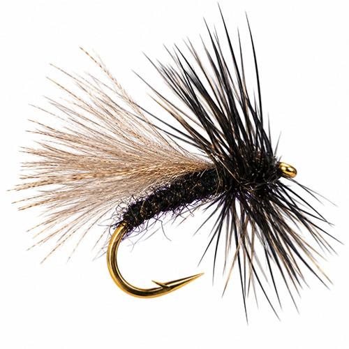 Sedge CDC Noir