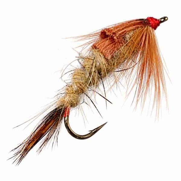 Stonefly Lièvre