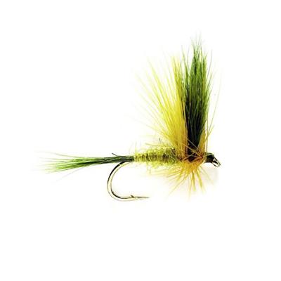 Mayfly Golden Olive Wulff