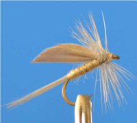 Ornans Blanche Hackle
