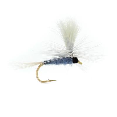 Blue Dun Parachute